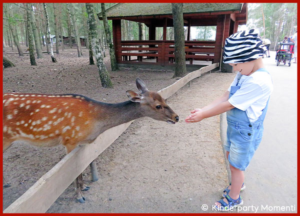 Tierpark - Kind füttert Reh
